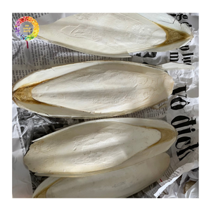 Hueso de Sepia Blanqueado de Grado Alimenticio para Alimento de Mascotas y Aves, Hueso de Sepia Seco Natural, Hueso de Calamar en Venta - Product Image 2