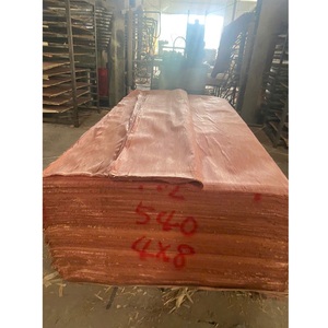 Panneaux de contreplaqué minimaliste de deuxième classe en eucalyptus et formaline, fabriqués au Vietnam, avec noyau en Bintangor et finition farine de blé - Product Image 2