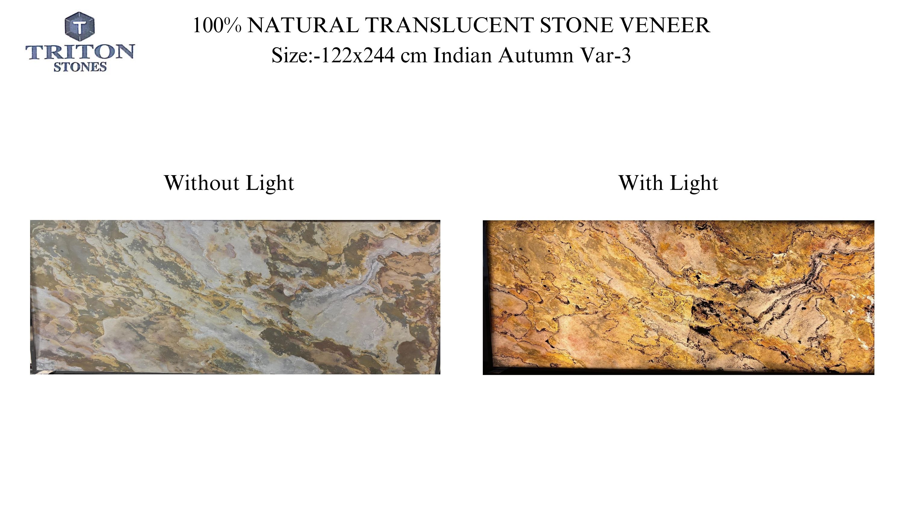 ฤดูใบไม้ร่วงอินเดีย