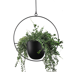 Maceta Colgante Redonda de Metal Negro con Marco Circular |   Moderno Soporte Suspendido para Macetas, Decoración Interior del Hogar, Balcón, Jardín - Product Image 1