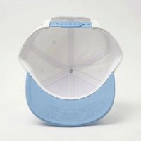 Gorra de Béisbol Deportiva Personalizada con Bordado 3D en Relieve, Visera Curva de Perfil Alto, Ajustable, Estructurada, de 5 Paneles, con Logotipo OEM ODM