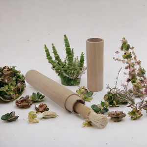 Palitos de Miswak Herbales Naturales, Empaque Transparente/Sencillo, Limpiador Dental Ecológico para el Cuidado Bucal - Product Image 1