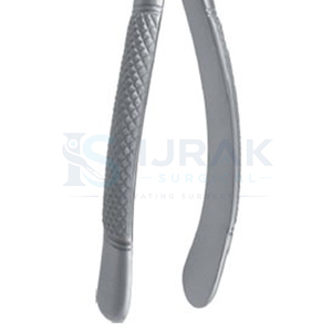 Pinzas de Extracción Dental de Acero Inoxidable, Pinzas Manuales para Dientes con Empuñadura Moleteada, Garra Quirúrgica para Uso Clínico - Product Image 3