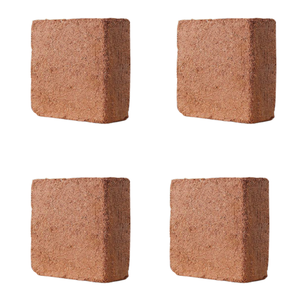 Producto estrella: fibra de coco para germinación de plantas, mejora del suelo, utilizada para el cultivo, nutre el crecimiento saludable de las raíces, nutrientes para todo tipo de plantas - Product Image 1