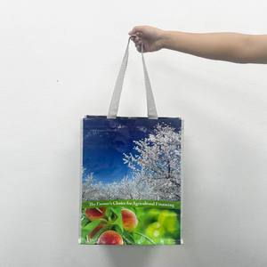 Sacs tubulaires personnalisés en PP, vente en gros d'usine, OEM/ODM, sacs en PP tissés avec fermeture éclair, sacs à bandoulière personnalisés, sacs de shopping en PP tissés du Vietnam - Product Image 4