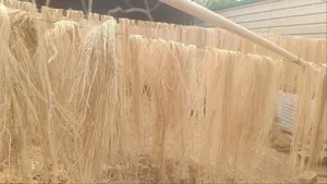 Fibra de Plátano Blanca Pura, Marca CRADLE of LIFE de Jharkhand, Materia Prima para la Industria Textil - Product Image 5