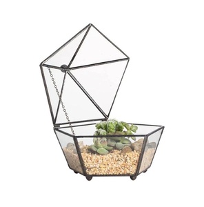 Terrario de Cristal Pequeño para Plantas de Interior, Recipiente de Cristal para Plantas, Florero de Mesa, Decoración Artística, Diseño Transparente - Product Image 1