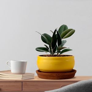 Macetas Modernas Minimalistas de Cerámica Ecológicas para Interiores/Exteriores, Macetas Gigantes para Plantas, para Uso en el Hogar, Jardín, Vivero y Suelo - Product Image 6