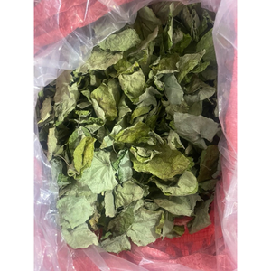 Proveedor Confiable de Vietnam, Hojas Secas de Yanang, 500g, Envasadas al Vacío, para Restaurantes y Mercados Minoristas - Product Image 3