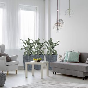 Set di 3 Vasi Alti con Foro di Drenaggio 60 cm per Esterni e Interni, Portico, Ingresso, Patio, Fioriere e Vasi per Piante - Product Image 6