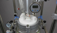 1L 2L 3L 5L 10L Fermentation de champignons de laboratoire à acide lactique Double couche de verre chemisé Bioréacteur fermenteur de paillasse