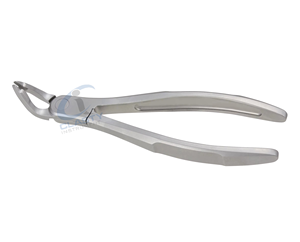 Pinzas de Extracción Dental de Acero Inoxidable con Empuñadura Moleteada, Instrumento Quirúrgico Manual Clase I, Plateado - Product Image 4