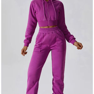 Ensemble de survêtement décontracté pour femmes, 2 pièces, haut zippé et pantalon à taille élastique, survêtement coupe-vent pour femmes, ensemble de survêtement de haute qualité - Product Image 1