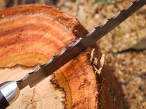 Couteau de chef Black Smith 1987 en acier Damas, 12 pouces, manche en bois de wengé avec embout argenté - Product Image 2
