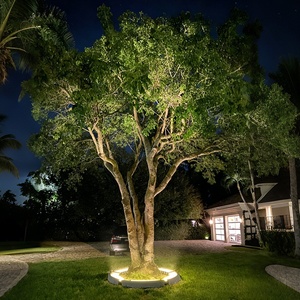 Projecteur d'arbre intelligent RGB à commande par application, 12W, étanche IP65, pour extérieur, <span class=keywords><strong>jardin</strong></span>, parc, paysage, à fixer sur poteau - Product Image 2