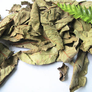 ใบฝรั่งแห้งคัดสรรด้วยมือ อุดมไปด้วยโพลีฟีนอล สำหรับการบำบัดด้วยสมุนไพรธรรมชาติ และการตลาดแบรนด์สุขภาพทั่วโลก - Product Image 3