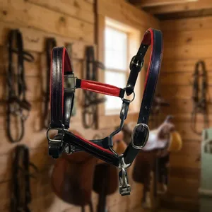 En gros, personnalisable : Harnais d'équitation anglais traditionnel pour concours, avec bridon et muselet rembourrés en cuir - Product Image 5