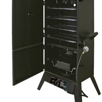 Barbecue hybride gaz-charbon en acier inoxydable pour extérieur, équipement de restauration