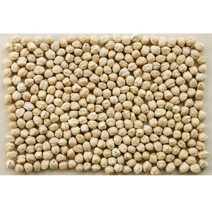 Pois chiches Kabuli de qualité alimentaire en gros, sains et délicieux - Product Image 6