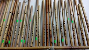 เสาไม้ไผ่คุณภาพสูง – ไม้ไผ่ธรรมชาติแข็งแรงทนทาน ราคาแข่งขัน // คุณทอม - Product Image 4