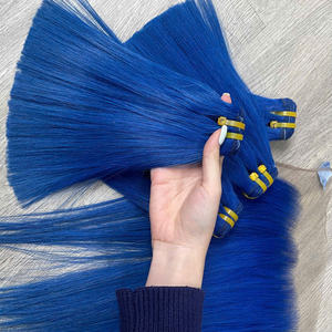 Extensiones de Cabello Virgen Vietnamita Liso Sedoso para Mujer, Cabello en Trama, Color Azul de Moda, Precio de Fábrica al por Mayor - Product Image 1