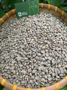 High Altitude Vietnam Organic Robusta Coffee <b>Beans</b> Wholesale Unroasted Honey Process Premium Green <b>Beans</b> 60kg/bag for Roasters - Product Image 5