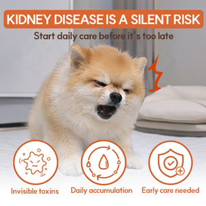 Tabletas Masticables para el Soporte Renal de Mascotas, para Perros y Gatos, Soporte Renal e Inmunológico, Salud Digestiva - Product Image 3
