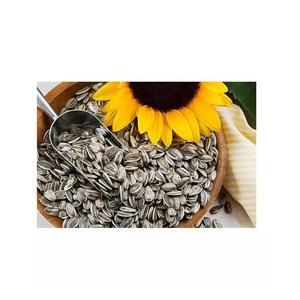 Graines de tournesol en gros à prix avantageux, vente en vrac - Product Image 3