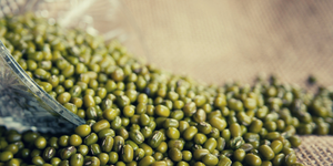 Haricots verts Vigna, haricots mungo, haricots verts Moong - Product Image 4