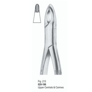 Forceps d'extraction dentaire Fig 213 |   Dents supérieures centrales et canines |   Instruments dentaires |   Extraction dentaire |   CERTIFIÉ CE - Product Image 1