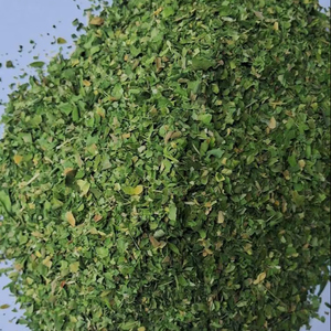 Hojas de Moringa Secas Puras y Auténticas 100% Calidad de Exportación Sin Tallo Solo Hojas Proveedor a Granel - Product Image 1