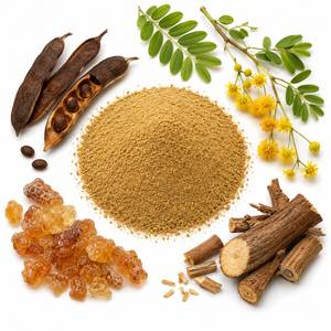 Suministro de Fábrica: Polvo Orgánico de Acacia Arábica, Extracto Herbal Natural Premium para Aplicaciones de Cuidado Personal, Fabricante OEM - Product Image 6