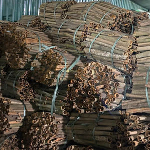 Fourniture de poudre de cannelle végétalienne 100% pour la cuisson et les smoothies à bas prix et de qualité supérieure - Product Image 4