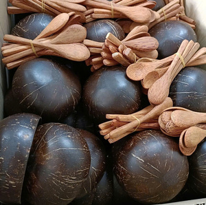 Best Selling High Quality Disposable <b>Coconut</b> <b>Shell</b> Bowl Spoon Set Customized Pattern Eco-Friendly Washable 2026 - Product Image 6
