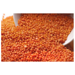 ถั่วเลนทิลคุณภาพสูง / ราคาถั่วเลนทิลเขียว / ถั่วเลนทิลแดง - Product Image 2
