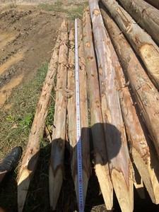 Piquets en bois robustes, pointus, en bois naturel, pour le soutien des plantes, la construction de clôtures de jardin et l'aménagement paysager - Product Image 3