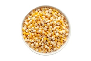 Maïs jaune pour l'alimentation animale disponible pour l'exportation - Product Image 3