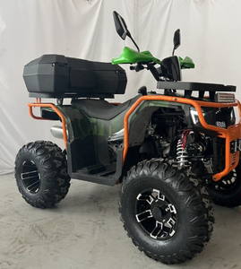 Quad ATV automatique avec moteur CVT 200cc, nouveau design, homologué CE - Product Image 4