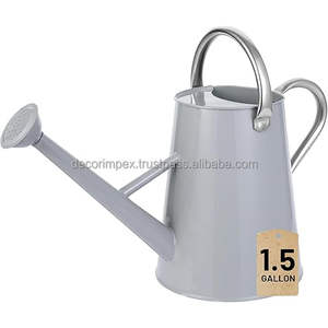 Bidon d'eau décoratif de style campagne avec bec amovible, arrosoir en métal parfait pour les plantes d'intérieur et les fleurs de jardin - Product Image 5