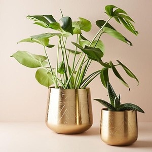 Jardinière en fer robuste pour jardin extérieur - Grand pot à fleurs en métal avec revêtement résistant à la rouille - Product Image 1