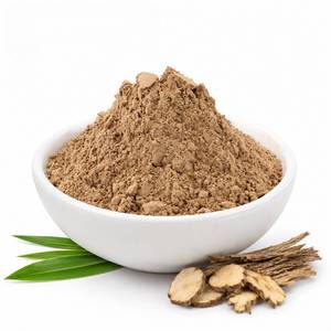 Extracto de Acorus Calamus Natural en Polvo de Fábrica Directa, Ingrediente Herbal Premium para Formulaciones de Salud Digestiva, Venta al Por Mayor OEM - Product Image 3