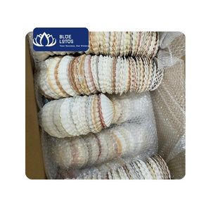 [DISPONIBLE] Matériel brut écologique en coquilles de palourde pour décoration intérieure, thème plage, mariage, Noël, nouvelles créations DIY et peinture artisanale - Product Image 1