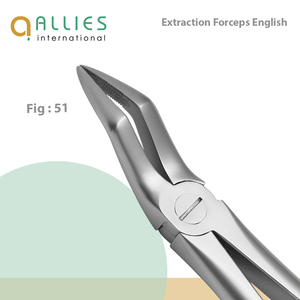 Fournisseur de forceps d'extraction dentaire ODM, instruments chirurgicaux en gros, forceps d'extraction dentaire de qualité supérieure - Product Image 4