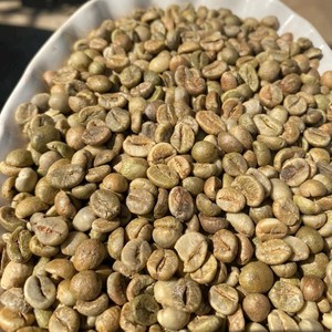 Grains de café vert Robusta à bas prix, calibre 13, 16, 18, faible teneur en brisure noire, taux de maturité élevé, matière première, nouvelle récolte, Dak Lak, Vietnam - Product Image 4