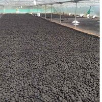 Charbon de coco premium en briquettes, fabriqué à la machine, forme oreiller, pour barbecue, haute chaleur, longue durée de combustion, faible teneur en cendres, 5500 Kcal/kg, 10-25%