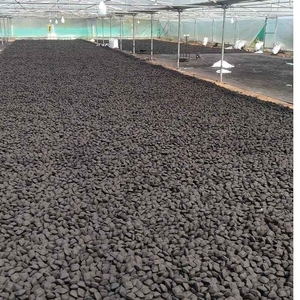 ถ่านกะลามะพร้าวพรีเมียม ผลิตด้วยเครื่องจักร รูปทรงหมอน สำหรับย่างบาร์บีคิว ให้ความร้อนสูง ติดไฟนาน เถ้าต่ำ 5500 กิโลแคลอรี/กก. 10-25% - Product Image 2