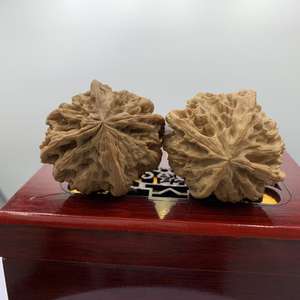 Noix de Vajra sauvage naturelle à quatre faces, objet de collection de <span class=keywords><strong>fitness</strong></span> portatif. - Product Image 1