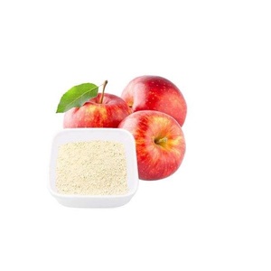 Poudre de pomme déshydratée de qualité supérieure pour l'industrie alimentaire, idéale pour les formulations de mélanges santé, au prix de gros - Product Image 3