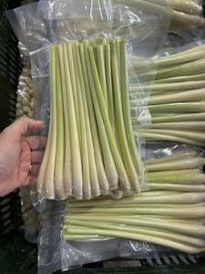Citronnelle entière surgelée de qualité alimentaire pour la vente en gros et la transformation alimentaire - Product Image 1