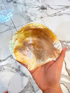 PLATO DE NÁCAR IRIDESCENTE PREMIUM |   Brillo 100% Natural |   DECORACIÓN DE HOGAR DE LUJO 15-30CM - Product Image 4